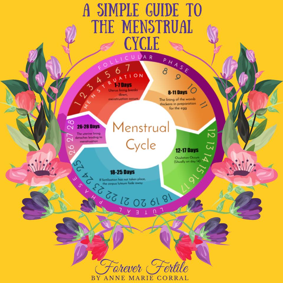Menstrual Cycle Map, Female Cycle, Ecofriendly A3 Print, Infographic, Period,  Ovulation, Womb, Fertility Awareness, Gifts for Her -  Israel